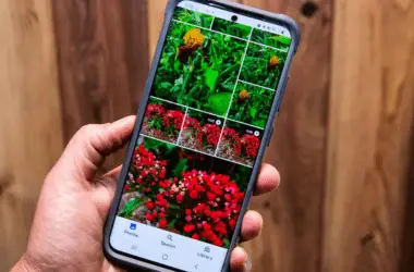 Google Photos Now Automatically Saves Your Unedited Photos